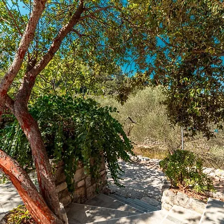 House Rosa - Holiday 70 Metres Away From Picena Beach!